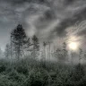 Symrak_0