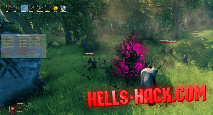 Читы на Valheim Cheat Flyhack, Heal hack, Free Craft 2021