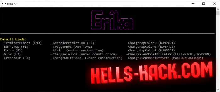 Читы для csgo Erika Cheat Aimbot, Wh, Wallhack, Triggerbot 2021