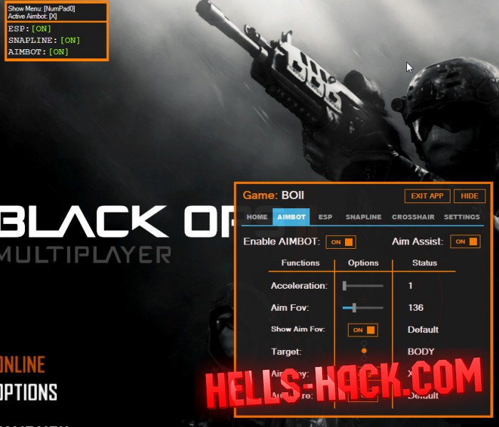 Читы для Plutonium Black Ops 2 Cheat Aimbot, Wh, Wallhack 2021