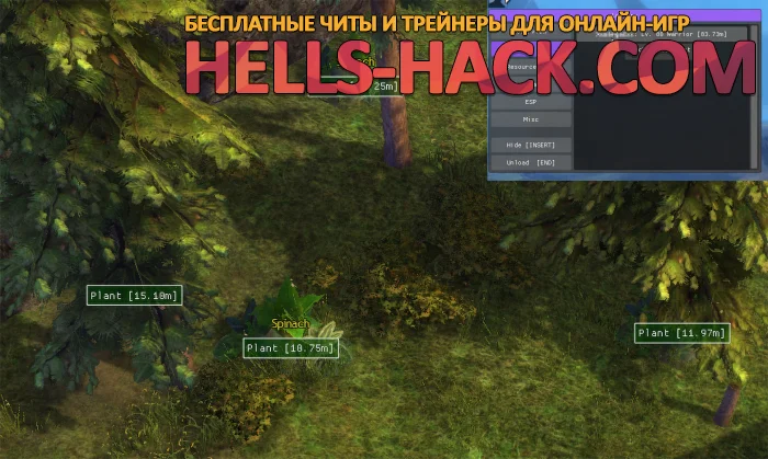 Читы для Guild Wars 2 Multihack Resource ESP, NoClip, Teleport, Wallhack 2023