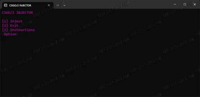 Инжектор CS2 Injector для CS2, TF2, CSGO 2024 бесплатно