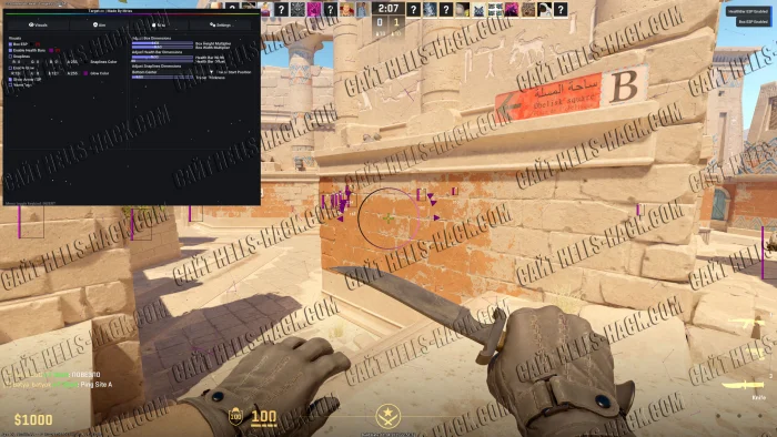 Читы на CS2 бесплатно Wallhack, ESP Boxes